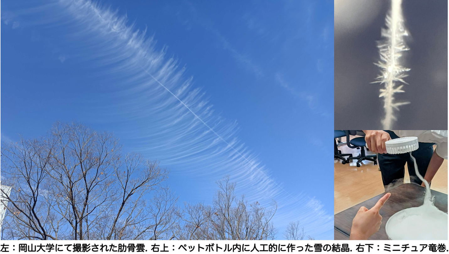 表紙イメージ.png
